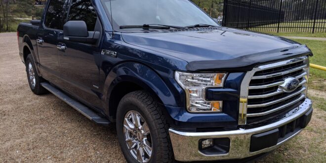 Bug Shield For Ford F150